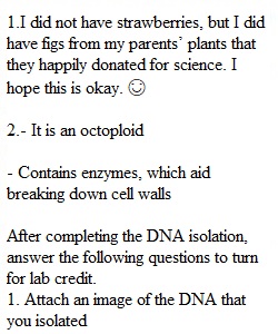 DNA Lab